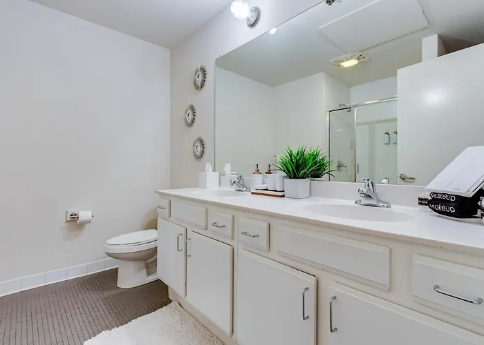 Downtown With Free In & Out Parking-2 Apartment Chicago